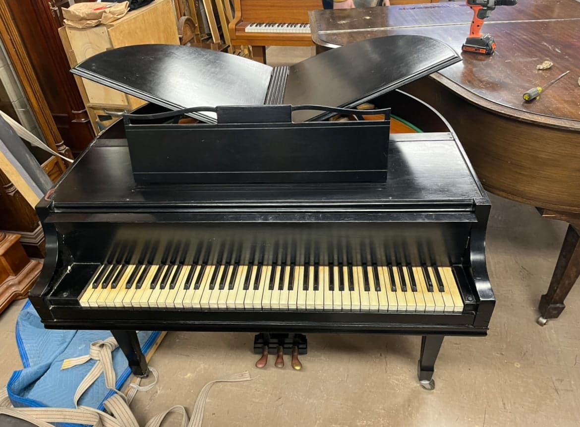 Wurlitzer Butterfly Petite Baby Grand