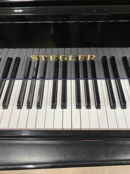 Stegler Grand Piano - PhotoNov132023_50958PM