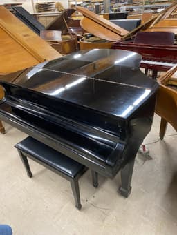 Stegler Grand Piano - PhotoNov132023_51502PM