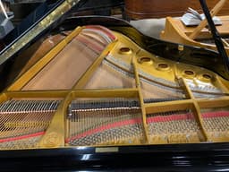 Wurlitzer G-461 Grand Piano - PhotoNov132023_54553PM