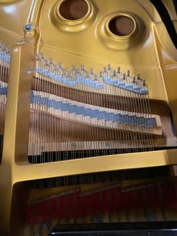 Wurlitzer G-461 Grand Piano - PhotoNov132023_54757PM