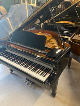 Young Chang Baby Grand - PhotoNov142023_94622AM