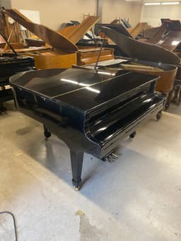 Young Chang Baby Grand - PhotoNov142023_94807AM