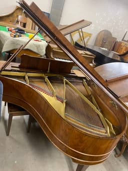 Stegler 5’7” grand in incredible burled walnut. - Steglerburledwalnutgrand-6